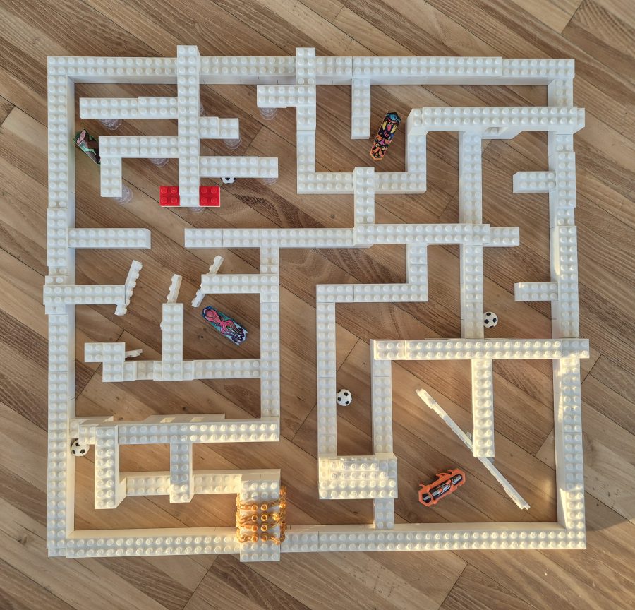 Kakerlaken-Labyrinth