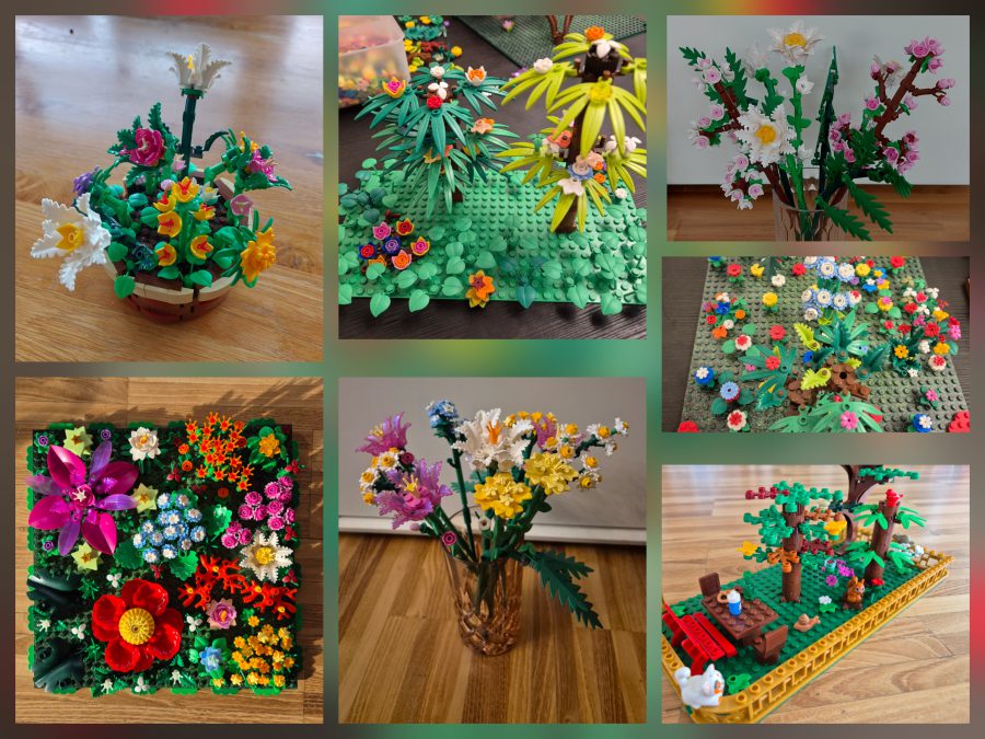 Blumen, Pflanzen, Garten