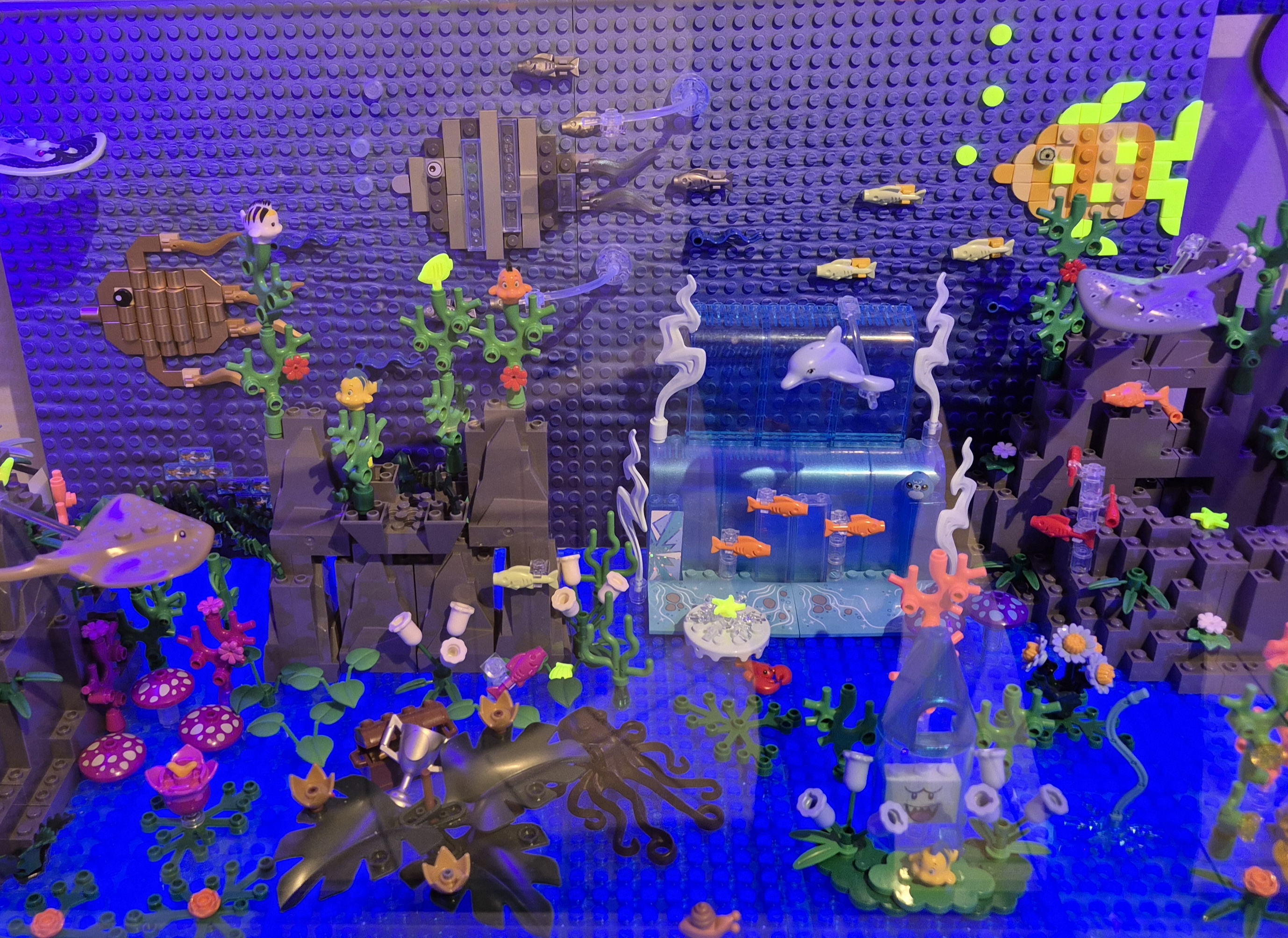 Unterwasserwelt